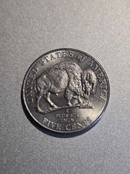 USA Bison 5c 2005