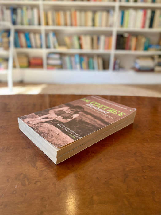 JM Coetzee Book Bundle: Boyhood & Youth (Scenes from Provincial Life #1 & 2)