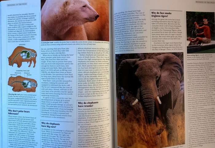 Reader's Digest - Why in the world ?