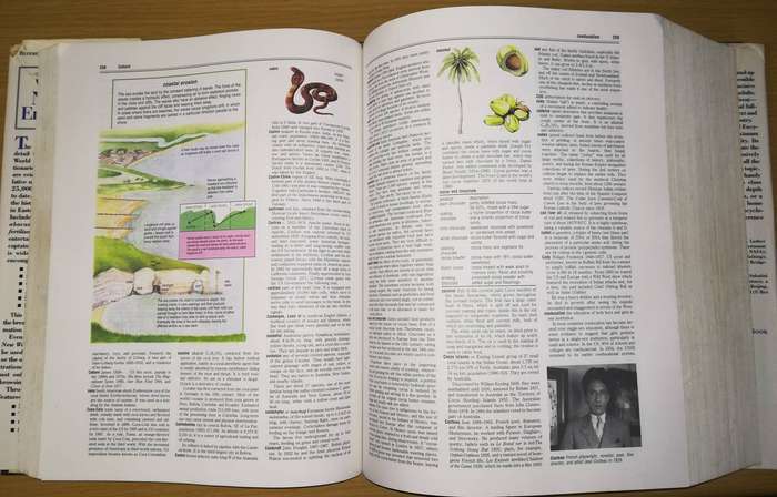Webster's new world encyclopedia (1220 pages)