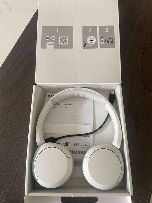 Sony WH-CH520 headphones