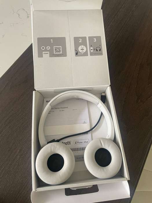 Sony WH-CH520 headphones