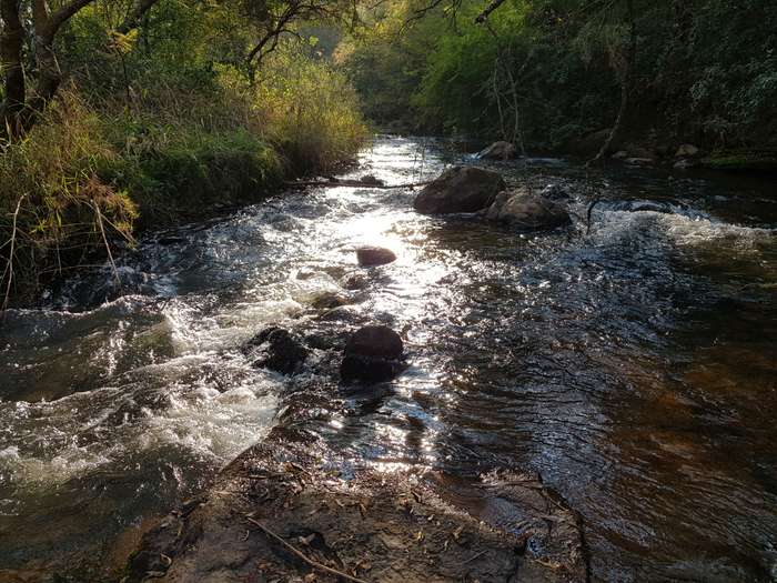 Midweek @ Sudwala (Mpumalanga) 12 - 16 May (4 Sleeper)