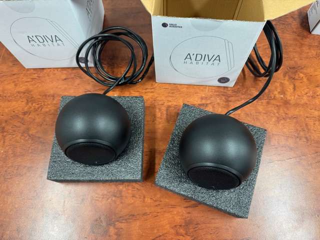 Gallo Acoustics - A'Diva - Waterproof outdoor speakers
