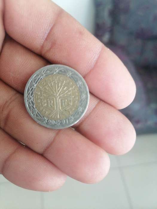 2 euro coin 2001