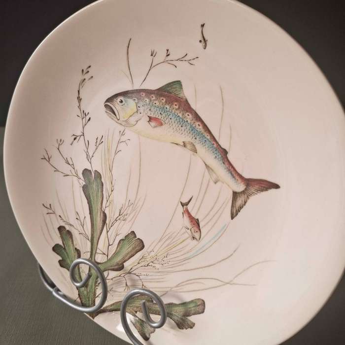 Johnson Bros Oval Fish of Britain Series Plate No 5
