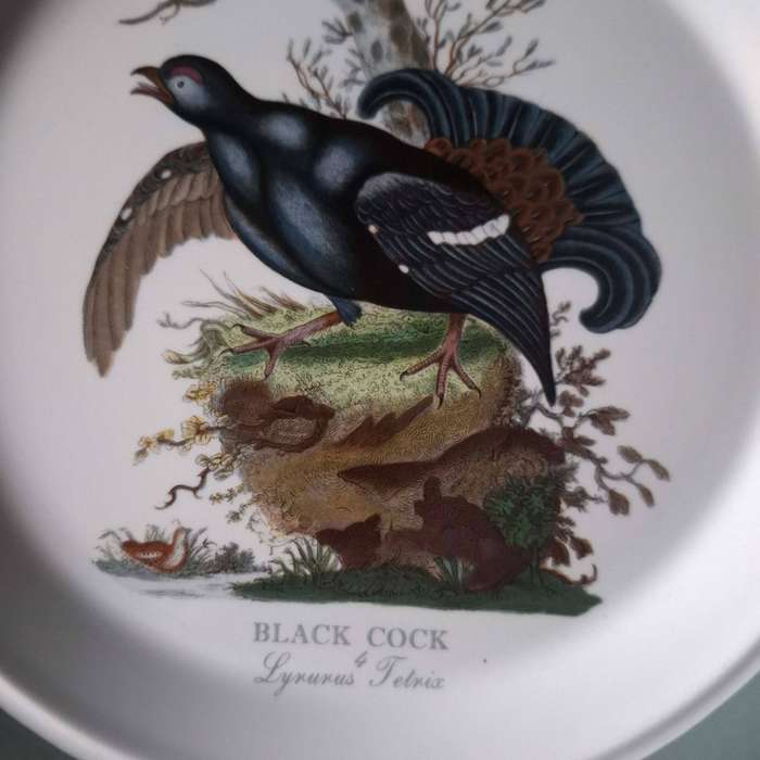 Portmeirion Birds of Britain Black Cock Dinner Plate