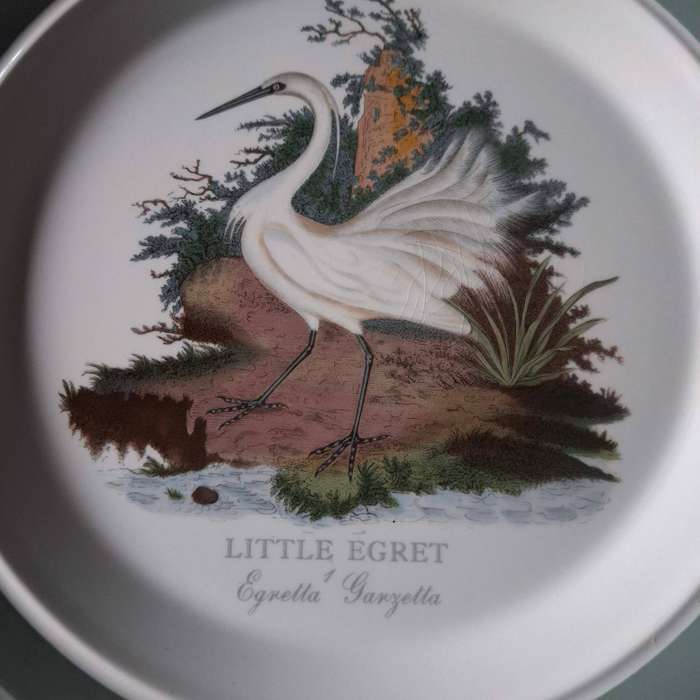 Portmeirion Birds of Britain Little Egret Dinner Plate