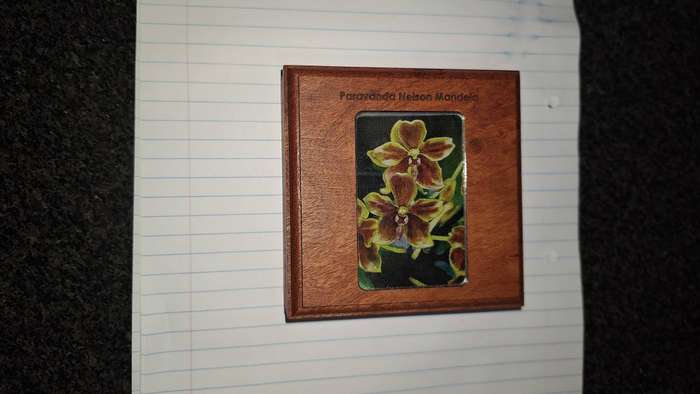 1/2 Oz Paravanda Nelson Mandela Coin
