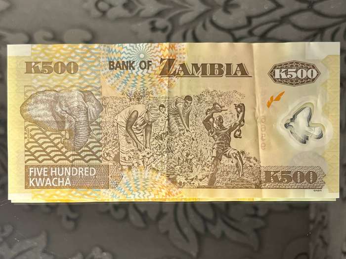 Zambia  500 Kwacha Banknote  2009 Issue  African Fish Eagle