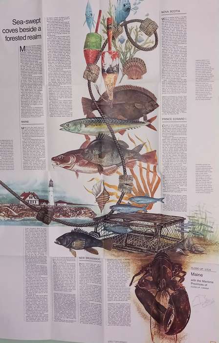 1975 Folded Map of  MAINE U.S.A Published By National Geographic 57x89cm