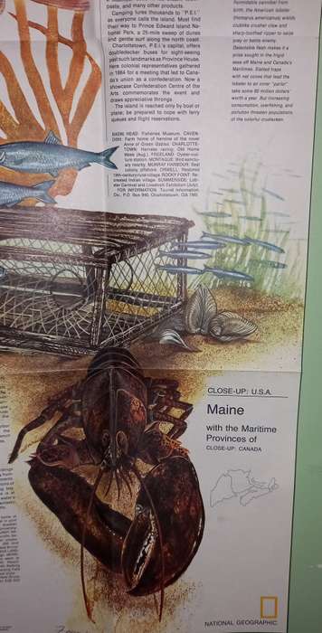 1975 Folded Map of  MAINE U.S.A Published By National Geographic 57x89cm