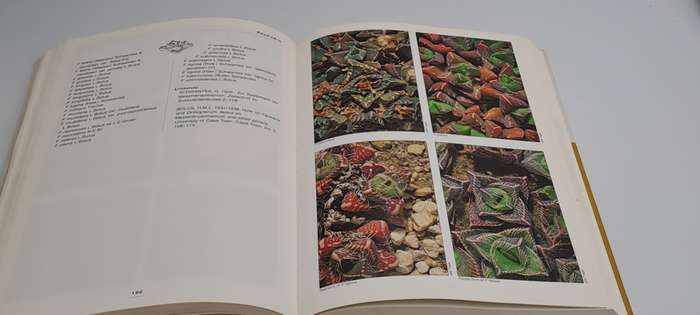 Pre-Owned : Mesembs of the World Illustrated Guide to a Remarkable Succulent Group-1st edition 1998