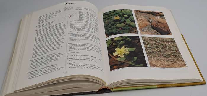 Pre-Owned : Mesembs of the World Illustrated Guide to a Remarkable Succulent Group-1st edition 1998