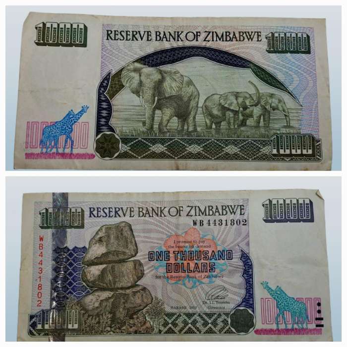 2003 Zimbabwe 1000 Dollars Bank Note -