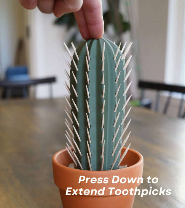 Cactus Toothpick holder