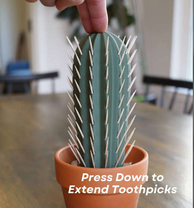 Cactus Toothpick holder
