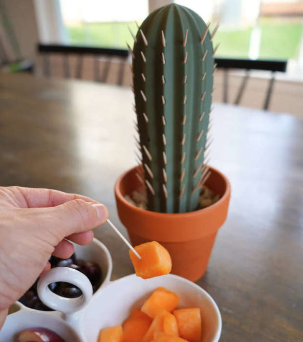 Cactus Toothpick holder