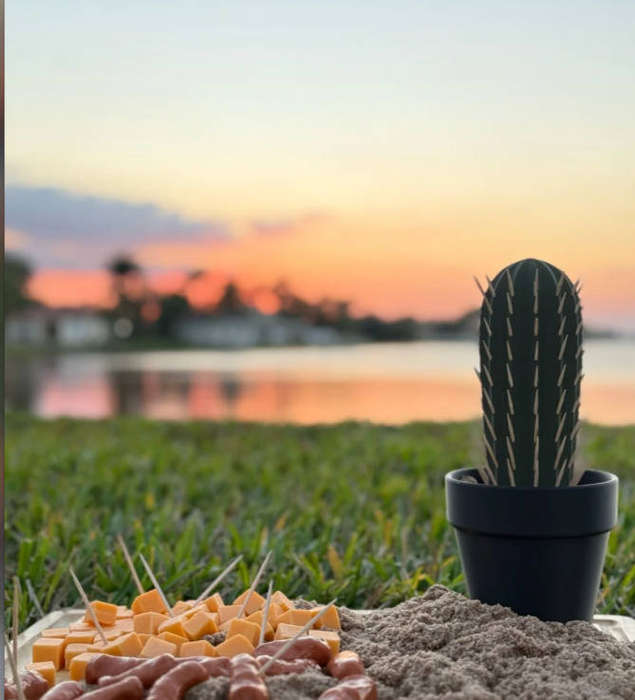 Cactus Toothpick holder