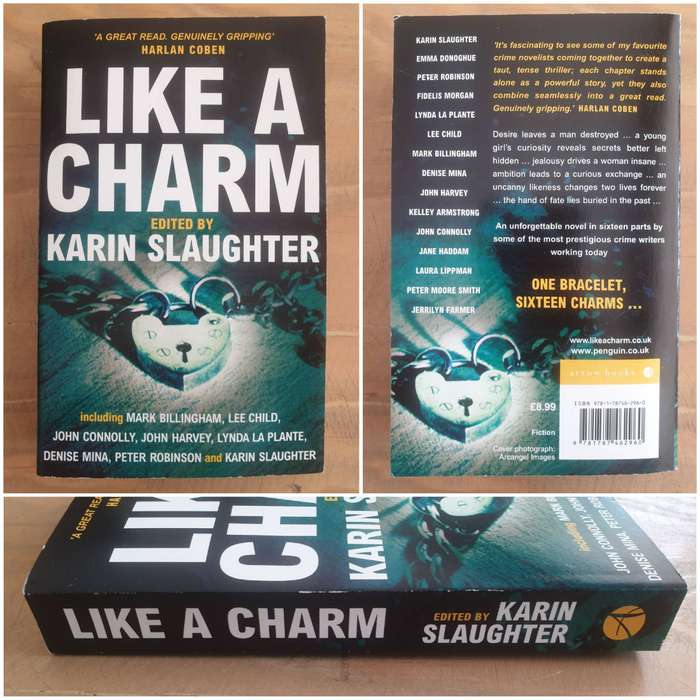 Karin Slaughter : Bundle-of-5 : Like A Charm/Skin Privilege/Martin Misunderstood/Fallen/Pretty Girls
