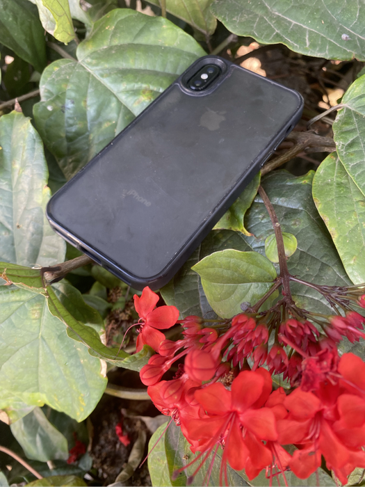 iPhone X