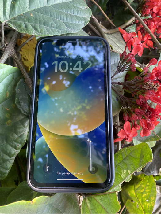 iPhone X