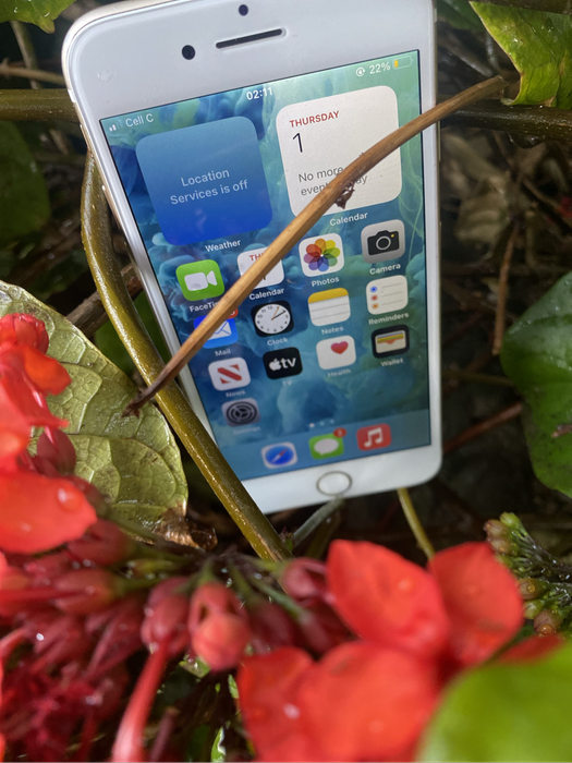 Iphone 7