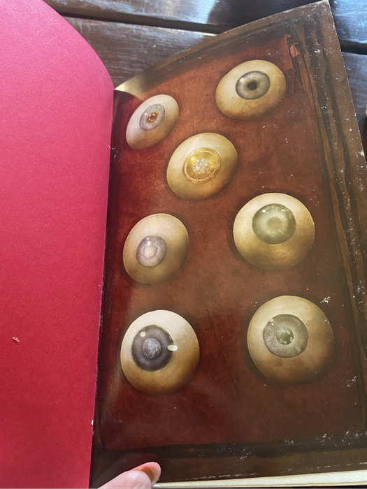 The Eyeball Collector by F E Higgens