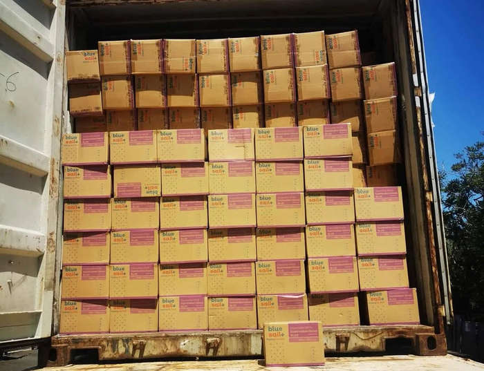 Blue Sail Nitrile Gloves