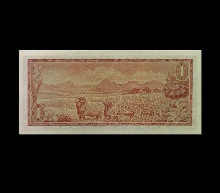 1960s South African 1 Rand Banknote  Jan van Riebeeck  UNC Condition