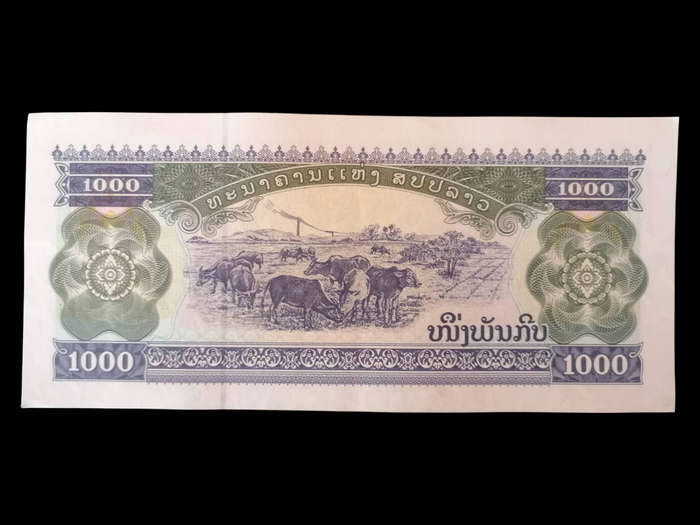 Laos 1,000 Kip Banknote (2020)  P33  UNC  Agricultural & Cultural Heritage Design