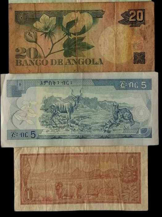 Lot of 5 Vintage Collectible African Banknotes