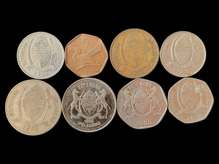 Lot of 8 Vintage Botswana Coins  Thebe & Pula  Wildlife Designs