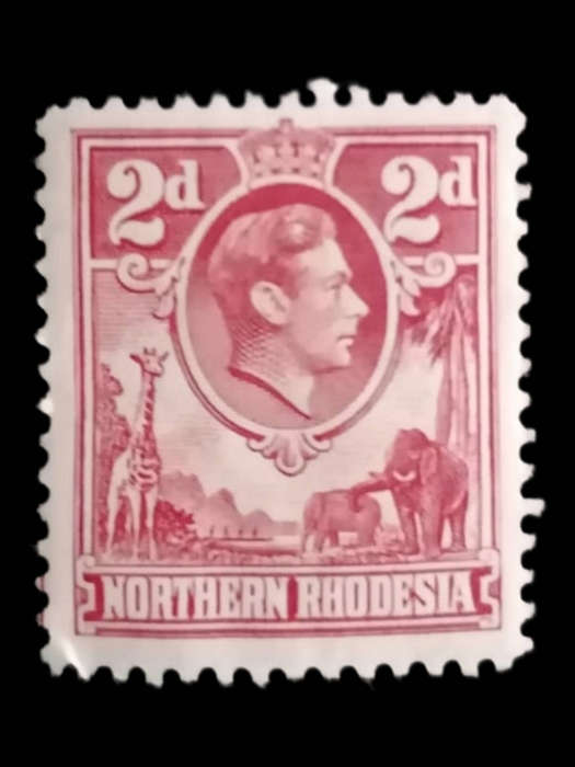 1938 Northern Rhodesia 2d Red King George VI Stamp SG GB-NR 32 Cat Value R1200