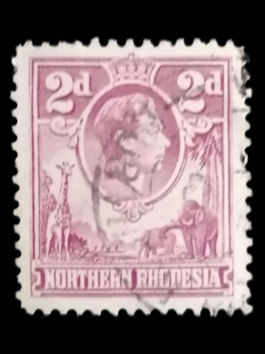 1938 Northern Rhodesia 2d Purple King George VI Stamp  SG GB-NR 33 | Wildlife Series