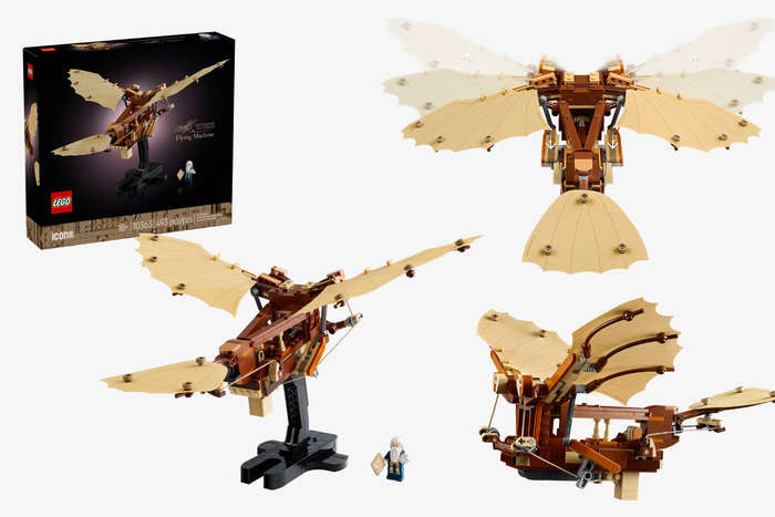 LEGO Icons Leonardo da Vinci's Flying Machine (10363)