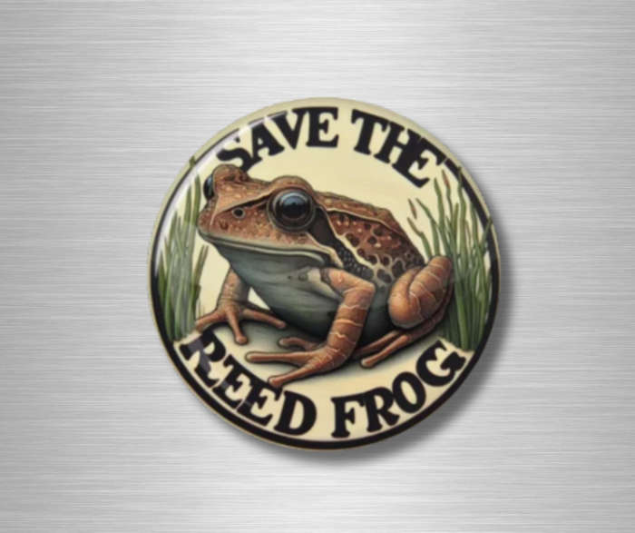 Fridge Magnet Set - Very strong with original designs.  Interior design quality.
