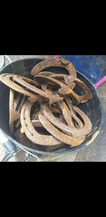 Horseshoes