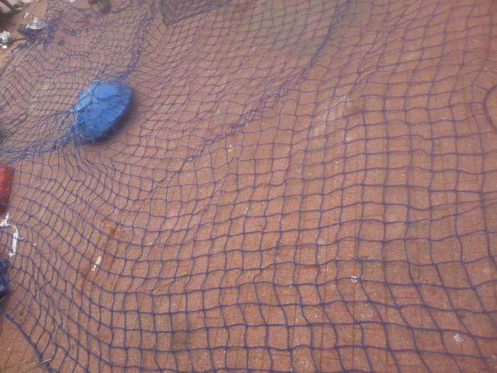 Large pool net with floater