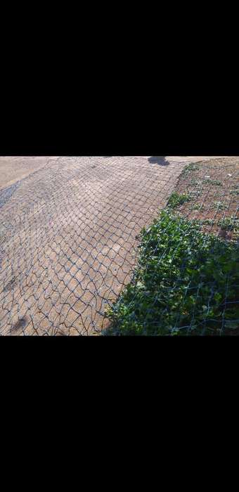 large pool net 5m by 6m