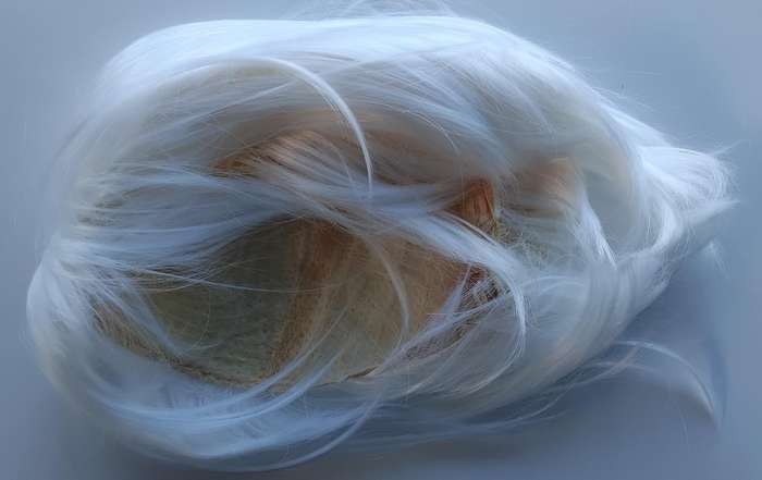 White Wig (Synthetic)