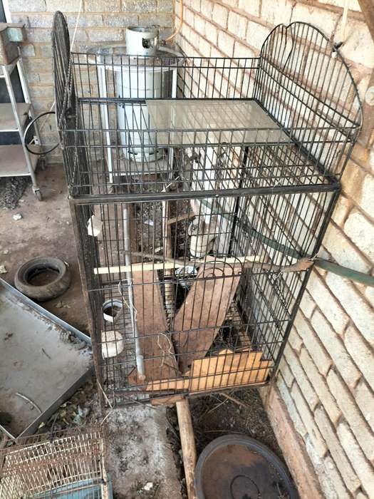 Parrot cage