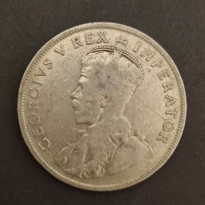 1924 South African florin coin