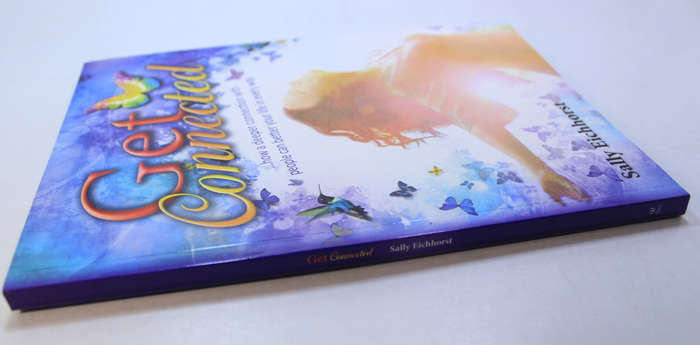 Get Connected by Sally Eichhorst Softcover Book