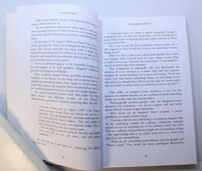 Live On Purpose Through Pathological Positivity by Paul H Jenkins PH.D Softcover Book
