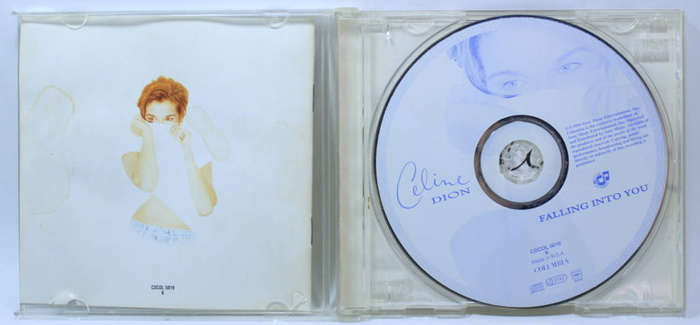 Celine Dion Falling Into You CD