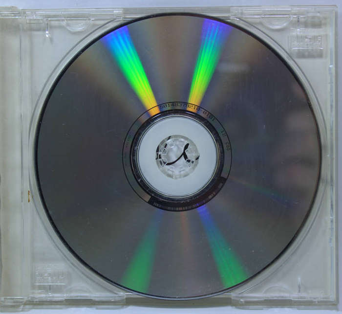Celine Dion Falling Into You CD