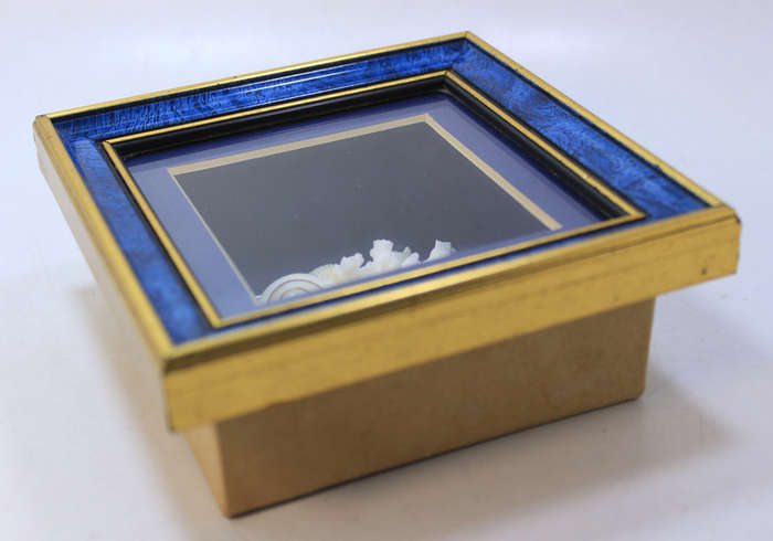 Miniature Coral and Shells in a Small Blue Box Frame with Gold Trim