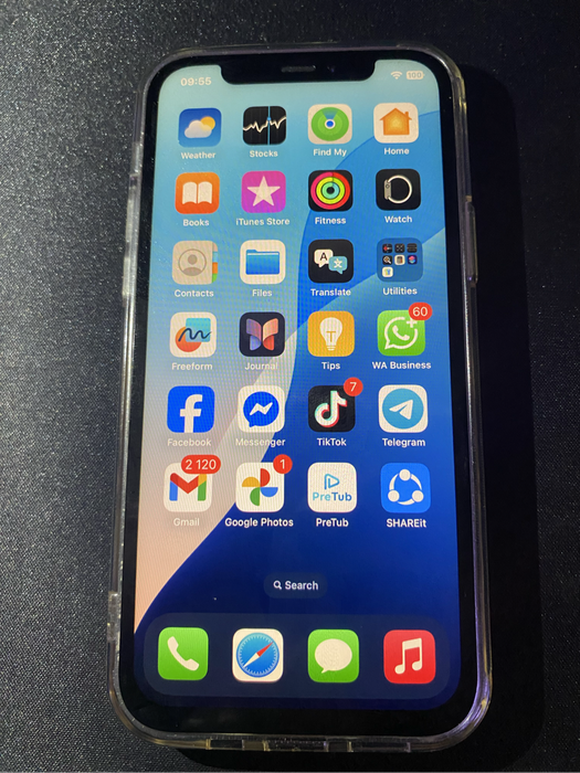 iPhone 12 Pro