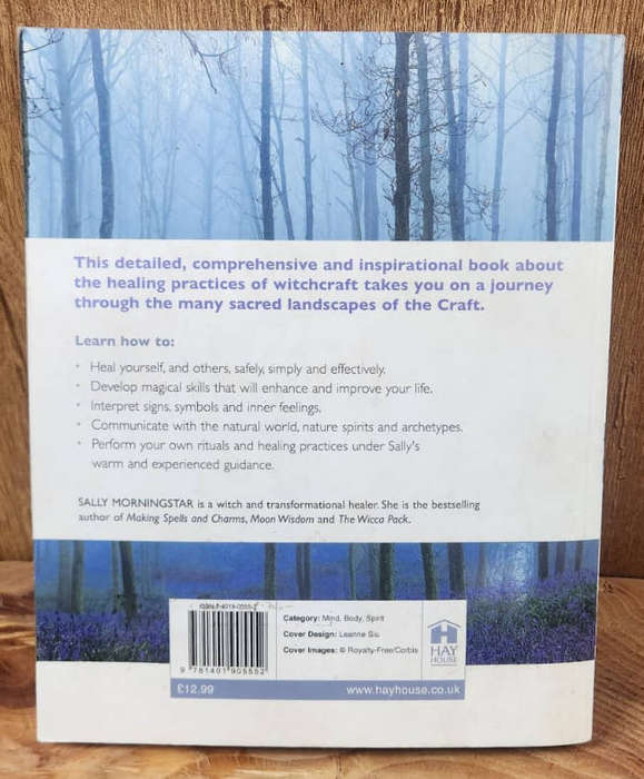 The Art of Wiccan Healing - Sally Morningstar